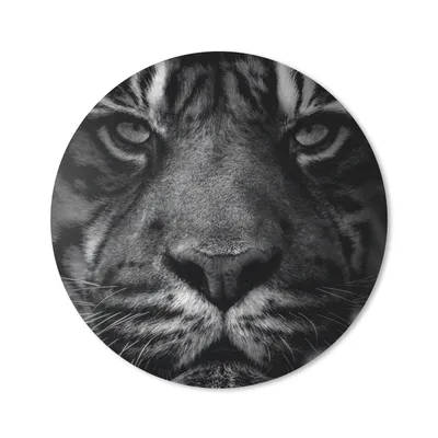 Produktbild von MuchoWow® Mauspad Mousepad Dschungel - Tiger - Wilde Tiere - Schwarz - Weiß 20x20 cm - Mousepads - Maus Mat - Pad - Mausunterlage - Schreibtischmatte