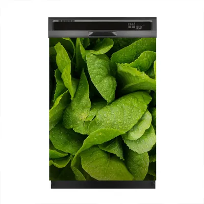 Produktbild von Magnete Dekorative 60x80 cm Küche Magnetmatte Spülmaschine - Gemüse Farbige