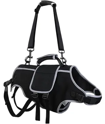 Image de INF Harnais de soutien mobilité pour chien senior — Sangle d'assistance en polyester pour animaux âgés et handicapés, stabilité améliorée L