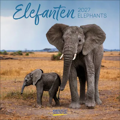 Produktbild von Elefanten 2027