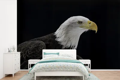 Produktbild von MuchoWow® Fototapete für Wohnzimmer oder Schlafzimmer Wandtapete Vinyl Motivtapete Adler - Vogel - Schnabel - Schwarz - 360x240 cm - Vinyl-Tapete