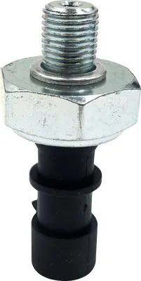 Obrázek produktu pro Náhrada snímače tlaku oleje pro motor Sea-Doo 4-TEC Challenger RXT-X GTX GTR GTI RXP 420856533