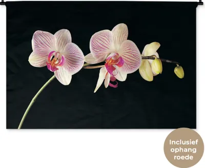 Produktbild von MuchoWow® Wandteppich Wandbehang Orchidee - Blumen - Schwarz - Rosa - Knöpfe 150x100 cm Tapisserie Dekoration Wandtuch - Waschbar - Tapisserien - Wand-Decke
