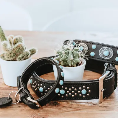 Produktbild von Hunter Halsband Sioux, Größe: 60 cm / Breite: 3,9 cm
