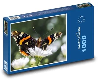 Obrázek produktu pro Puzzle 1000 Motýl na květině - martinpuzzle