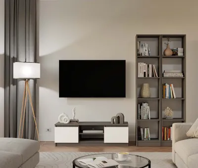 A modern living room with a TV stand, bookshelf, and sofa.