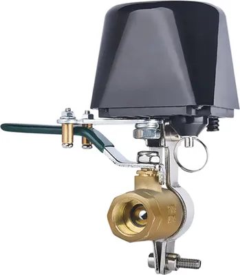 A close-up studio shot of an automatic water shut-off valve with a black control unit and a brass valve body, isolated on a white background.