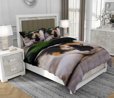 Immagine prodotto di Biancheria da letto 140x200 cm + 2x70x80 cm, set 3 pezzi, 100% cotone, cerniera, multicolore - SOVIO | So.Z0040