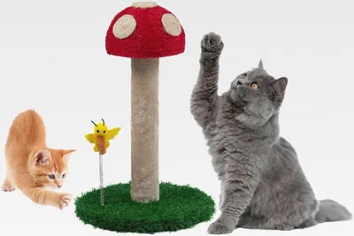 Produktbild von Kratzbaum - Kratzstamm für Katzen mit pilzmotiv - Kratzbaum klein 45cm mit DREI verschiedenen Texturen - Kratzsäule - Cat Scratching Post - Kratztonne - Katzenmöbel - Cat Scratcher