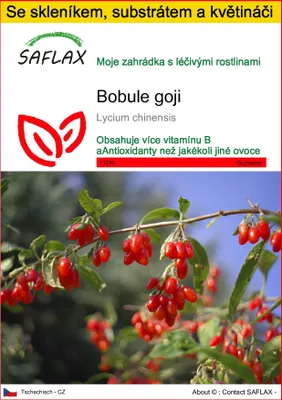 Obrázek produktu pro SAFLAX Kultivační sada - bobule goji - Lycium chinensis - 200 Semena - S mini skleníkem, pěstebním substrátem a 2 květináči