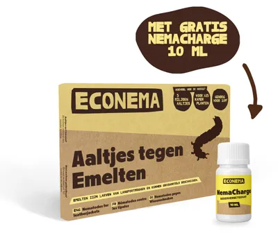 Productafbeelding van Econema Aaltjes tegen emelten – kale en gele plekken in het gazon – 20 m²