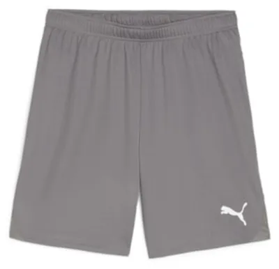 Produktbild von Puma Teamgoal Shorts Herren - Grau
