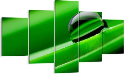 Produktbild von Bild auf Leinwand - Leinwandbild - Pflanze Tropfen Wasser Blase - 125x70cm - Wand Bild - Wanddeko - Leinwanddruck - Bilder - Kunstdruck - Wanddekoration - Leinwand bilder - Wandkunst - EA125x70-2352