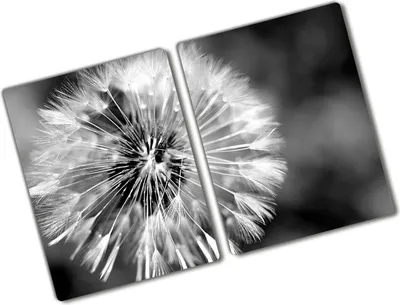 Produktbild von Tulup Glas Herdabdeckplatte - 2x40x52 cm - Glaskeramikkochfeld-Abdeckung Spritzschutz Glasabdeckplatte Kochplattenabdeckung und Schneidebrett - Zweiteilig - Blumen & Pflanzen - Pusteblume - Schwarzweiß