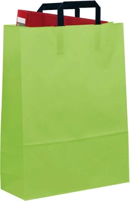 Produktbild von VP Papier-Tragetaschen hellgrün 32,0 x 42,0 cm, 50 St.