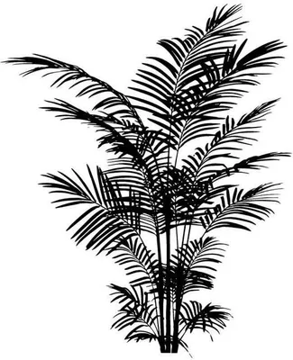 Produktbild von Holzstempel Farn 6 x 5 cm
