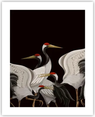 Produktbild von Poster - Poster ohne Rahmen - Kraniche Vögel Grafiken - 40x50 cm - Wand Bild - Wanddeko - Wandbilder - Kunstposter - Wandposter - Bilder - Kunstdruck - Wanddekoration - Wandbild - P2XPA40x50-4748
