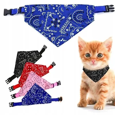 Produktbild von Dekoratives Bandana-Halsband für Hunde und Katzen Blau