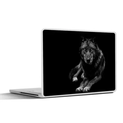 Produktbild von MuchoWow® Laptop Aufkleber Sticker Cover Tiere - Wolf - Schwarz - Weiß - Porträt 36.5x27.5 cm - Laptop-Sticker