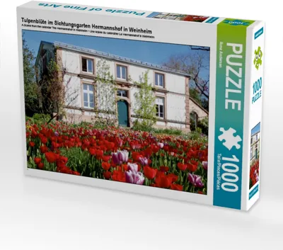 Produktbild von Calvendo Tulpenblüte im Sichtungsgarten Hermannshof in Weinheim 1000 Teile Puzzle quer 640x480mm, Andersen Ilona; 7283246
