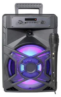 Bluetooth-Lautsprecher, 10 W, Karaoke-Funktion, tragbar, schwarz