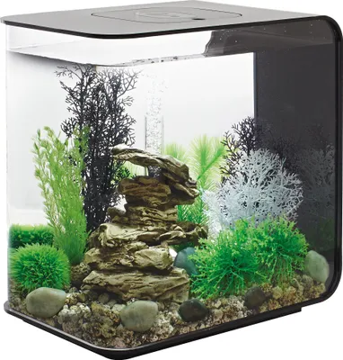 Zdjęcie produktu dla Akwarium biOrb FLOW 30 LED czarne