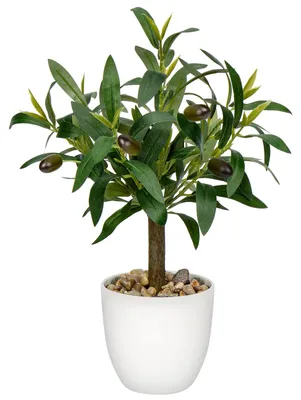 Obrázok produktu pre Umelý olivovník, 38,1 cm, malý umelý olivovník, umelá oliva