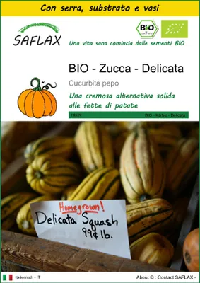 Immagine prodotto di SAFLAX Insieme di coltivazione -- Zucca - Delicata - 6 semi - Cucurbita