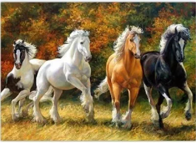 Image de Norimpex Diamant Peinture Chevaux au galop 30x40cm