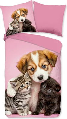 Produktbild von Duvet cover Pure 135x200 + 1* 80x80 cm - dog and cat