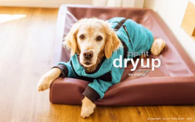 Produktbild von Dryup Body Zip Fit petrol XXL (74cm9