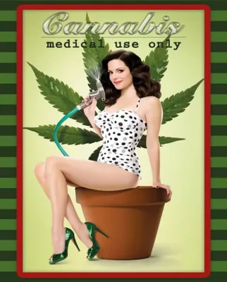 Produktbild von vianmo Holzschild 40x30 cm Pinup Cannabis medical use only