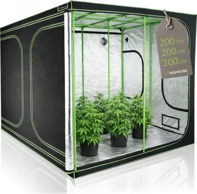A grow tent with plants inside, displayed on a white background.