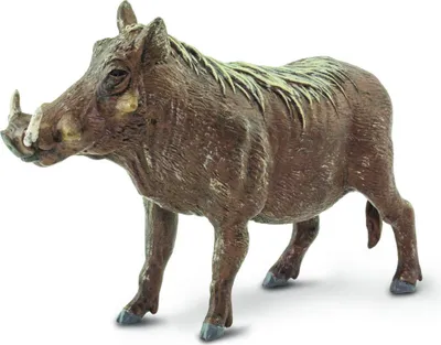 Produktbild von Safari 100512 - Spielfigur, Warzenschwein 6,8cm