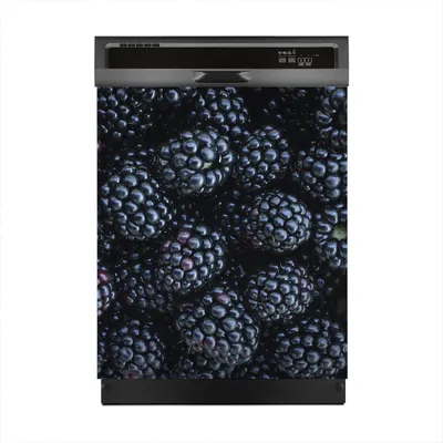 Produktbild von Magnete Dekorative 60x70 cm Küche Magnetmatte Spülmaschine - Brombeere Obst