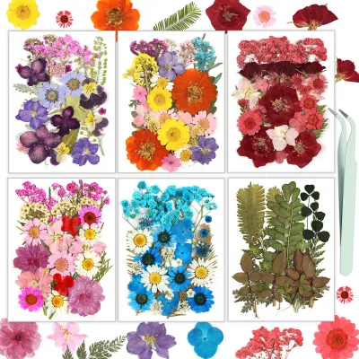 174 getrocknete gepresste Blumen für DIY-Harz, Scrapbooking, bunt