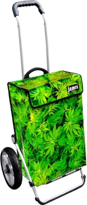 Produktbild von James Einkaufstrolley - BUSHDOCTOR - stabiler Einkaufswagen mit individuellem Design - einfarbig: grün in Ausführung: Royal-Leichtraeder