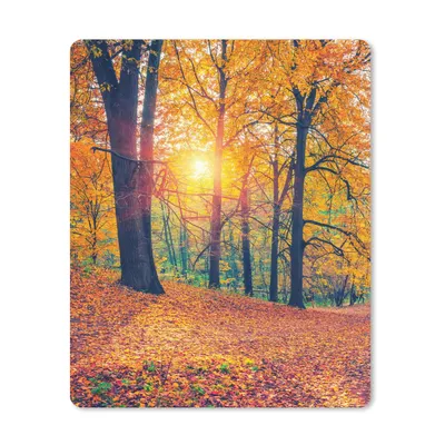 Produktbild von MuchoWow® Mauspad Mousepad Bäume - Herbst - Wald - Herbstliche Blätter 30x40 cm - Mousepads - Maus Mat - Pad - Mausunterlage - Mausmatten