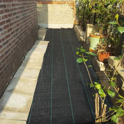 Immagine prodotto di QEENTOE: Telo antiparassina per giardino, tessuto resistente allo strappo, telo per il controllo delle erbacce, tessuto antiparassina da 100 g/m², telo per sabbiera, telo protettivo per il terreno per il controllo delle erbacce, dimensioni 2x25 metri