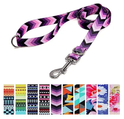 Immagine prodotto di Guinzaglio regolabile in nylon, 120 cm x 2 cm, con doppio anello a D, adatto per cani di piccola, media e grande taglia