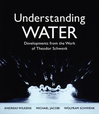 Produktbild von Understanding Water