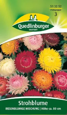 Produktbild von Quedlinburger Saatgut - Strohblume Riesenblumige Mischung - Samen - 513252