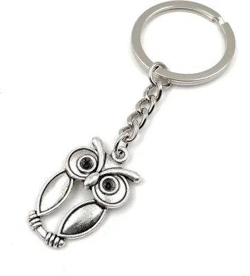 Image de Onwomania Hibou Oiseau aux yeux globuleux Porte-clés métal porte-bonheur en boîte cadeau alu, idéal pour offrir en cadeau