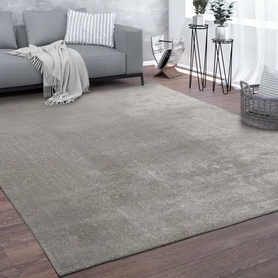 Produktbild von Waschbarer Teppich Wohnzimmer Kurzflor Einfarbiger Moderner Stil Weich Grau Grösse 300x400 cm