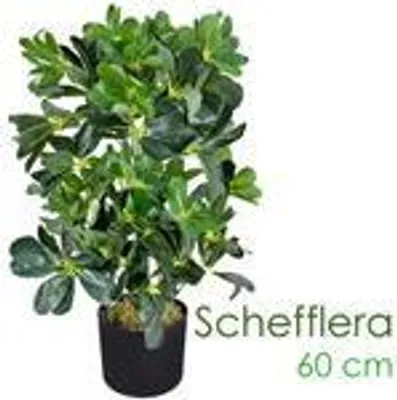 Produktbild von Schefflera Aralie Strahlenaralie Arboricola Kunstpflanze Kunstbaum Künstliche Pflanze 60 cm Innendekoration Kunst Pflanze wie echt im Topf Decovego