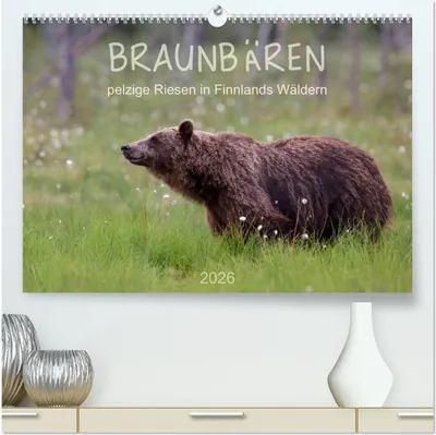 Produktbild von Braunbären - pelzige Riesen in Finnlands Wäldern (hochwertiger Premium Wandkalender 2026 DIN A2 quer), Kunstdruck in Hochglanz