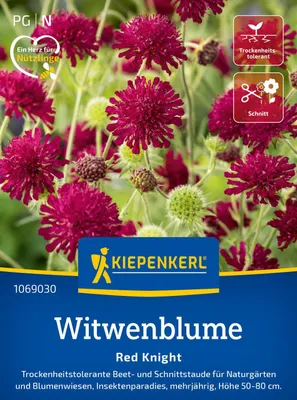 Produktbild von Kiepenkerl Witwenblumensamen Red Knight Knautia macedonica 15 Pflanzen
