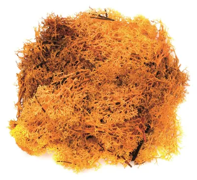 Produktbild von GLOREX 63803609, Materialien für Kunst-/Bastelset für Kinder, Orange, Junge/Mädchen, 50 g, 1 Stück(e)