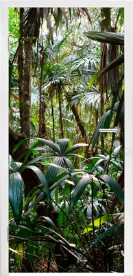 Produktbild von MuchoWow® Türtapete Selbstklebende Türfolie Pflanzen im Regenwald 95x215 cm Türposter Türaufkleber Klebefolie Türklebefolie - Tür Tapete - Plakat - XXL-Plakat