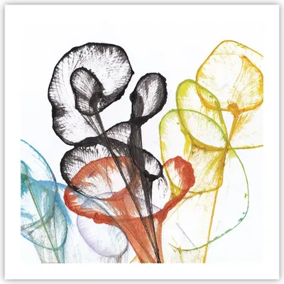 Produktbild von Poster - Poster ohne Rahmen - Blumen Abstraktion Surrealismus - 60x60 cm - Wand Bild - Wanddeko - Wandbilder - Kunstposter - Wandposter - Bilder - Kunstdruck - Wanddekoration - P2XAC60x60-4444